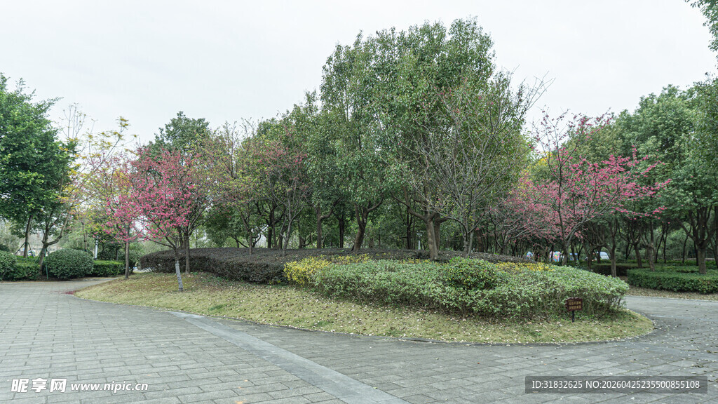 春日园区绿植景观