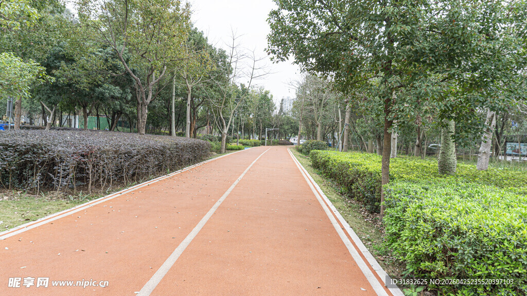 城市林荫步道景观