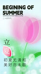 立夏海报