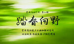 踏春向野背景素材图