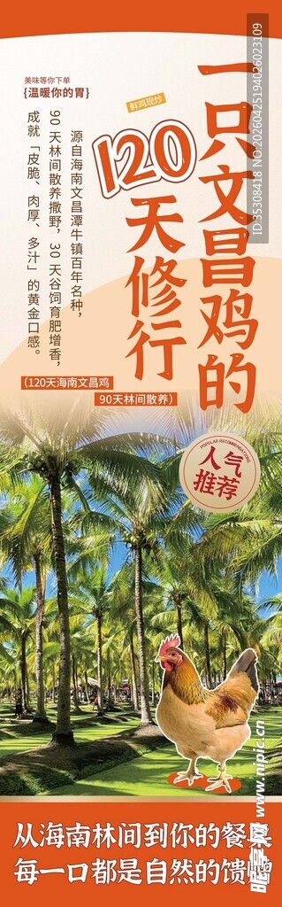 文昌鸡 