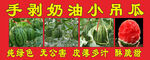 手剥奶油小吊瓜新鲜诱人
