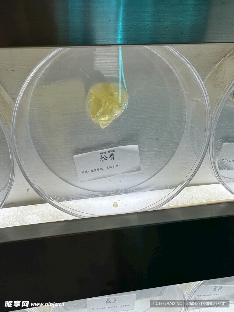 显微镜下的黄色样本观察