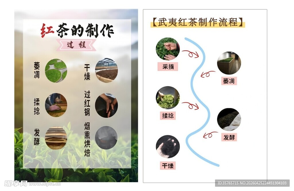红茶制作流程图示