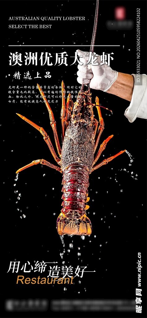 澳洲龙虾