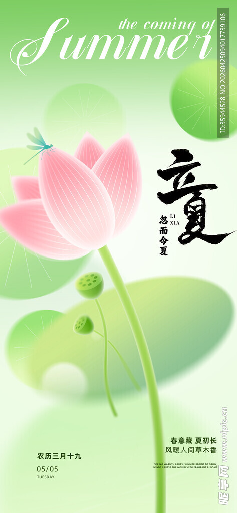 夏日荷花插画设计素材