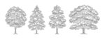 树木线稿素材