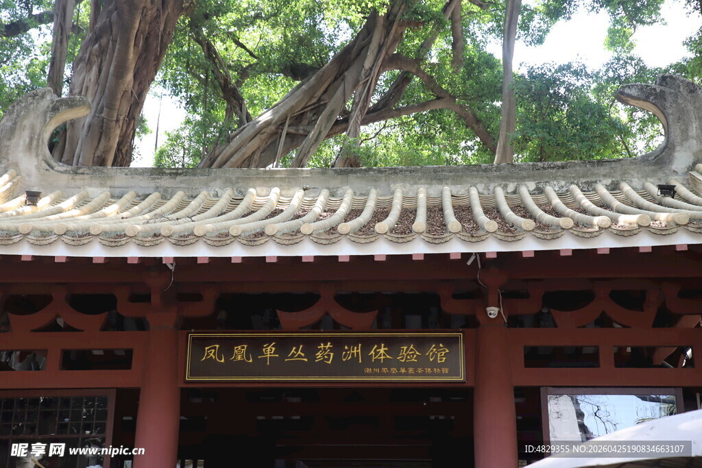 药洲遗址中式古亭尽显传统韵味