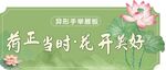 荷花异形展板