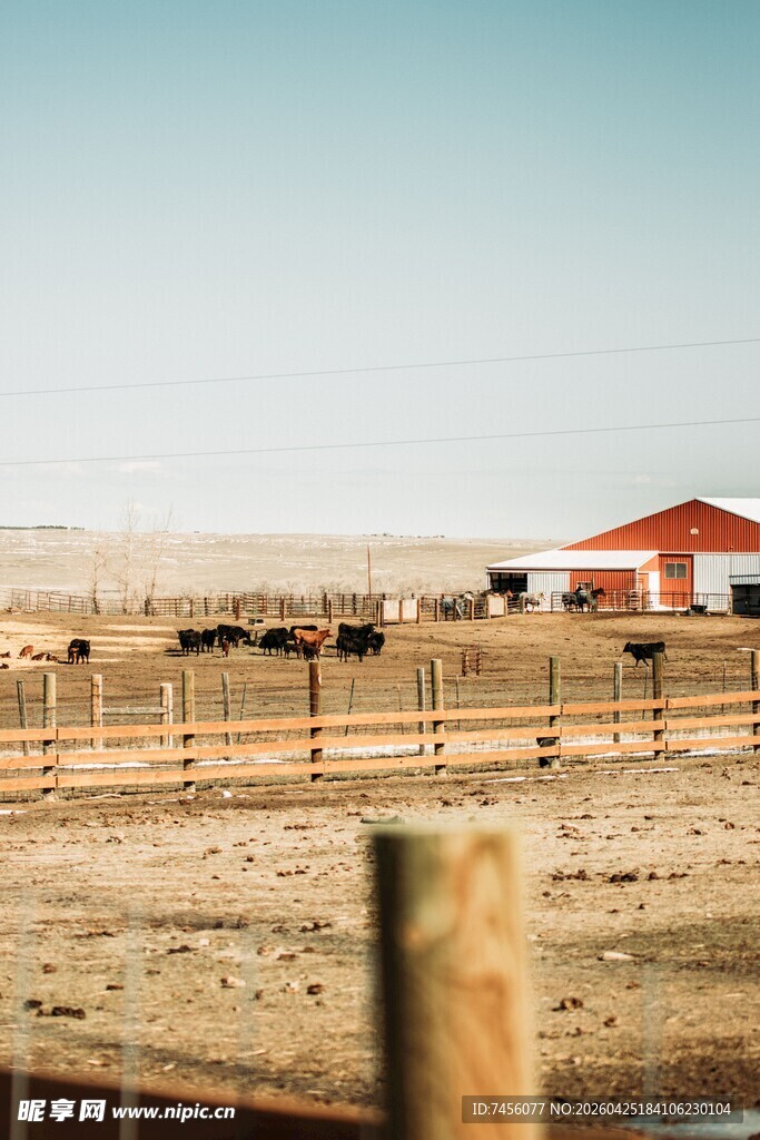 乡村牧场风光