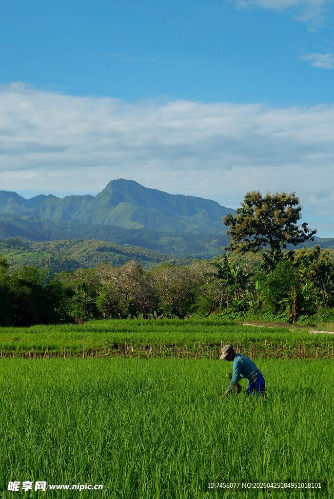 田园劳作的美好场景