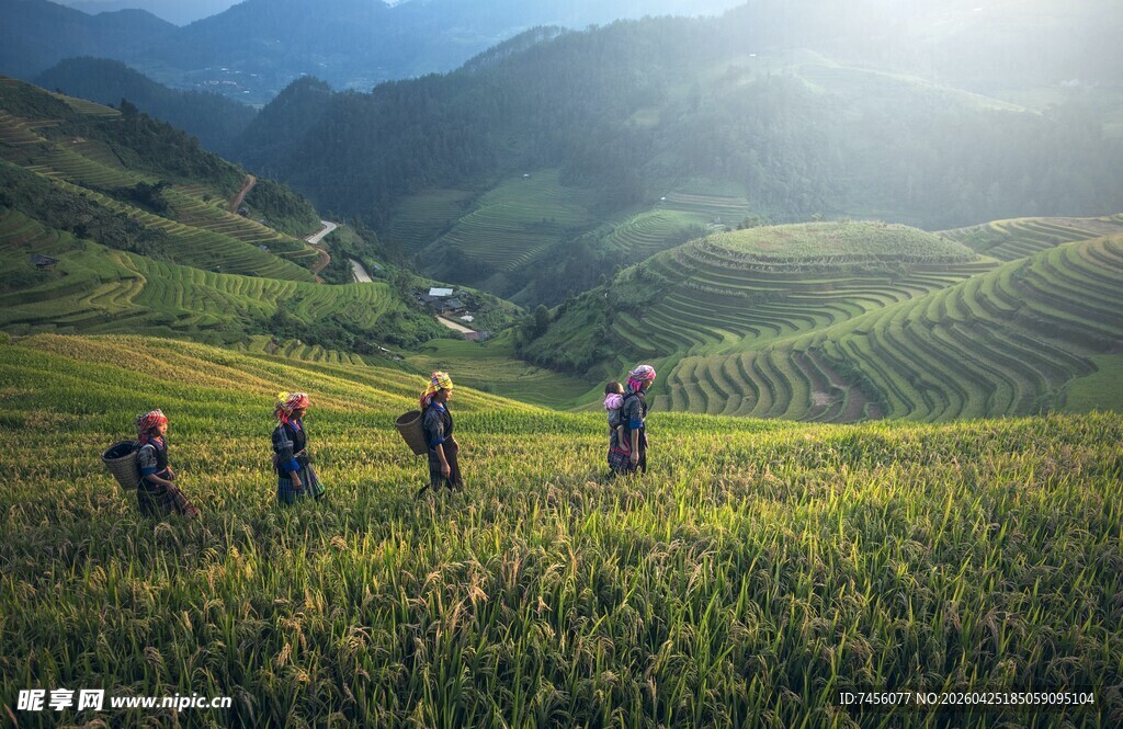 山间田园劳作的人群