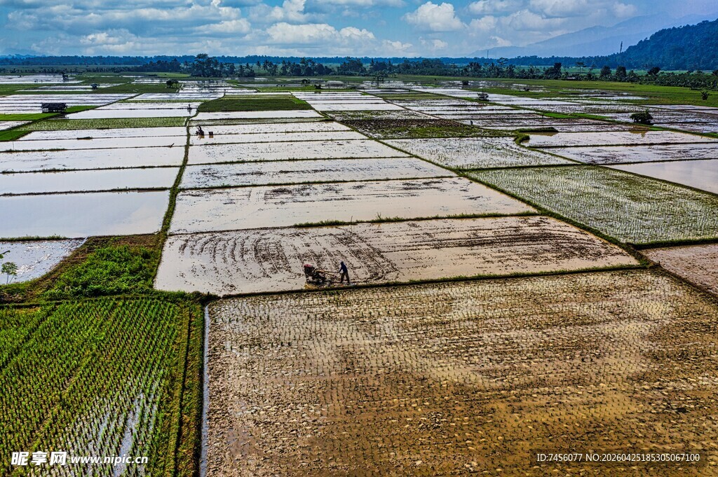 俯瞰规整的农田景观