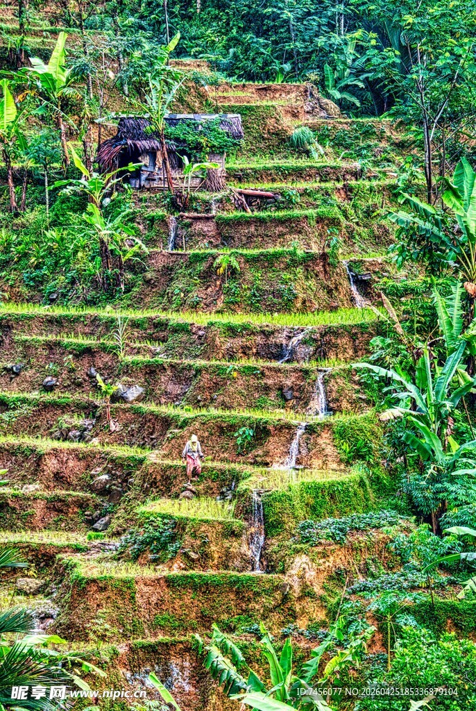 翠绿层叠的美丽山间梯田