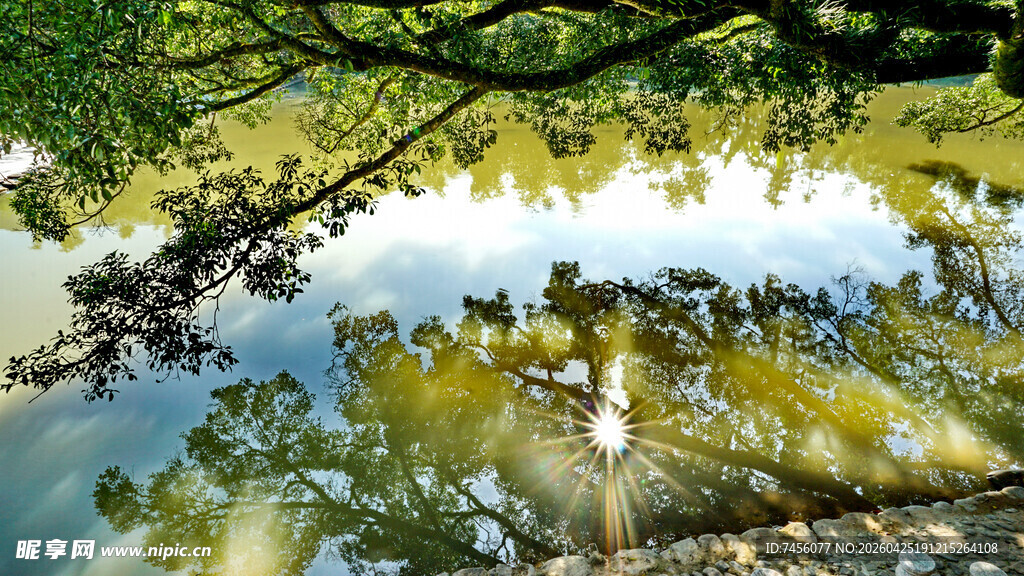 湖面倒映的绿树与天空