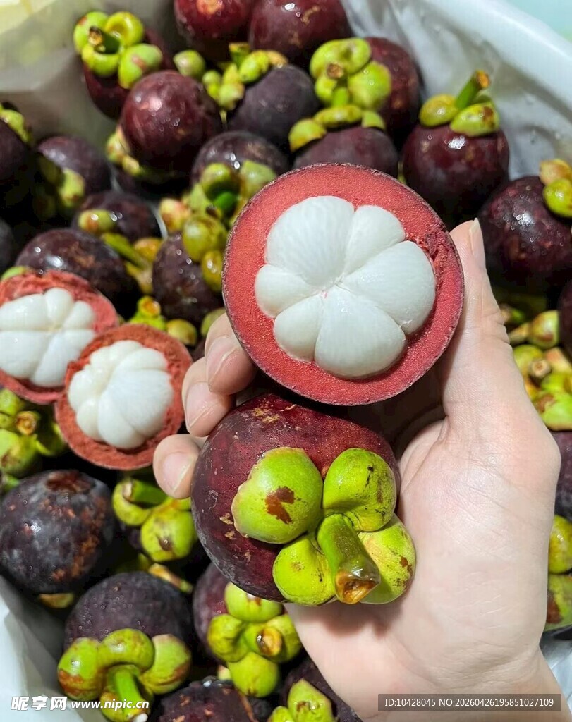 手捧新鲜山竹果肉饱满