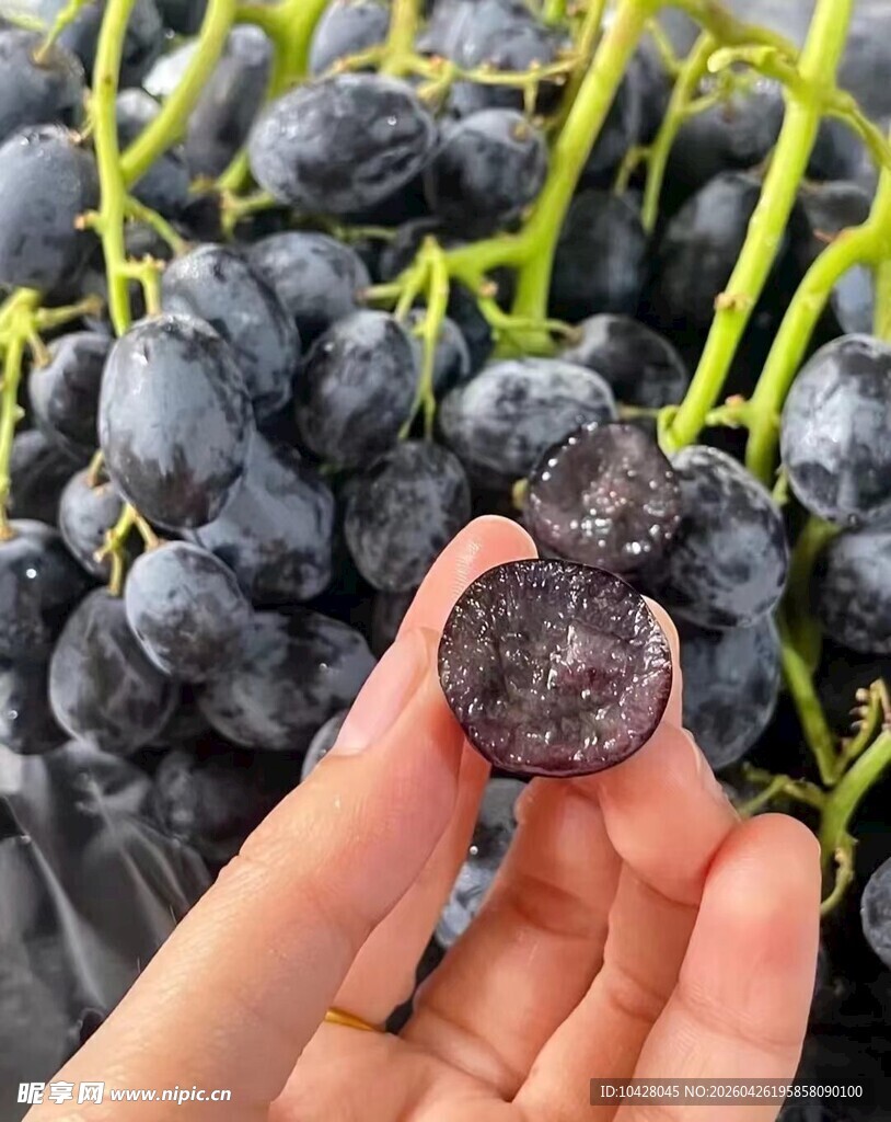手捧紫葡萄特写
