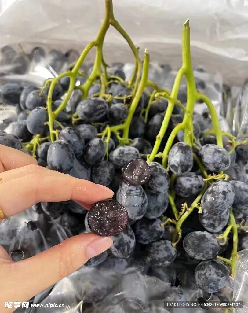 手触新鲜紫葡萄