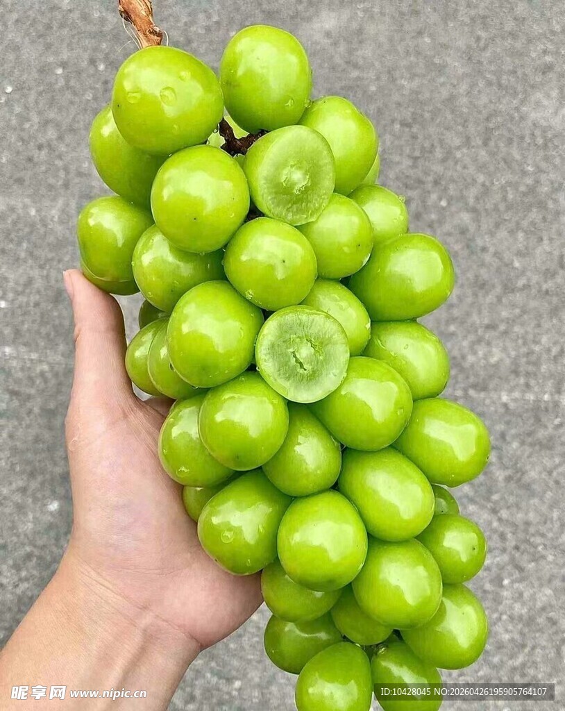青绿色鲜脆多汁的阳光玫瑰 晴王