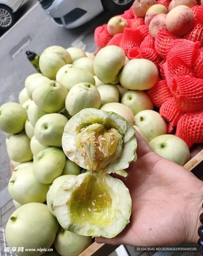 新鲜多样瓜果待品尝