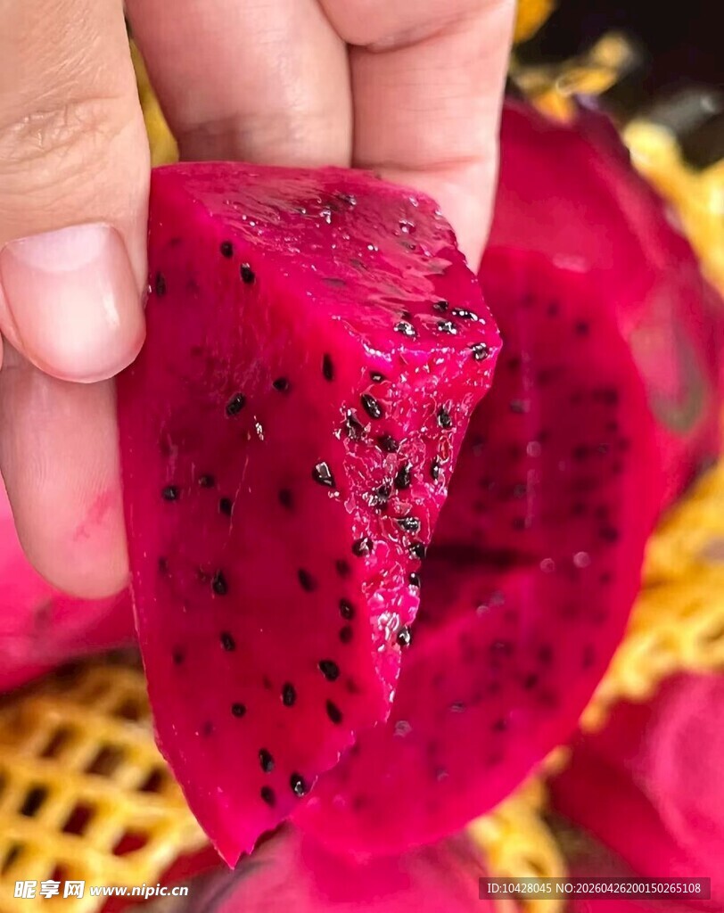 手捧红心火龙果果肉