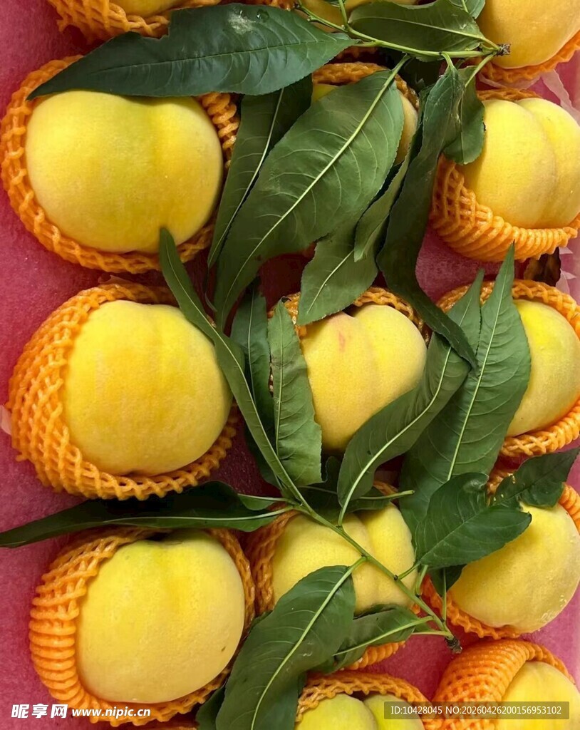新鲜黄桃带叶饱满诱人