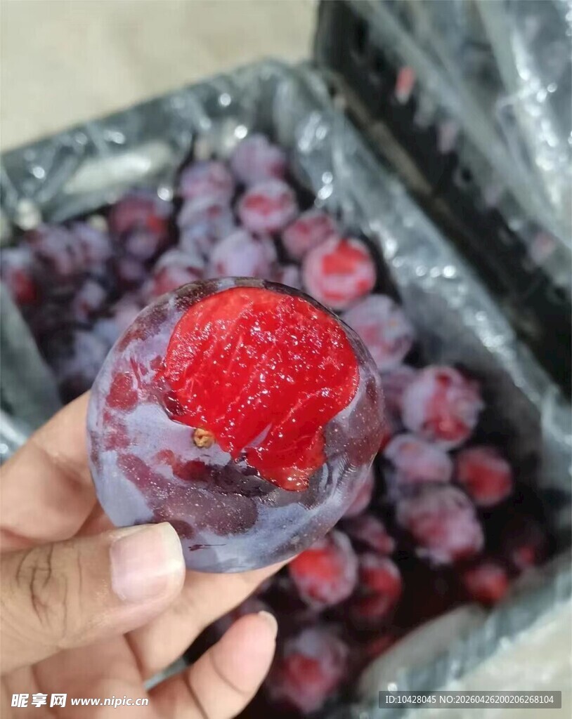 新鲜李子