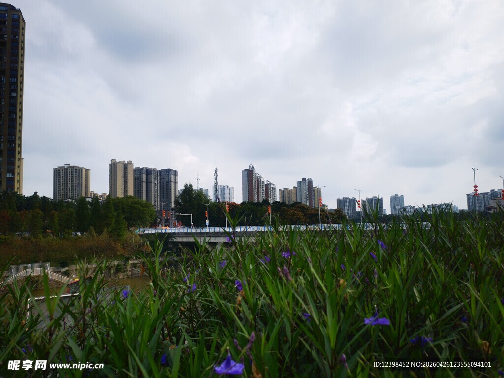 城市边缘的绿植与高楼景观