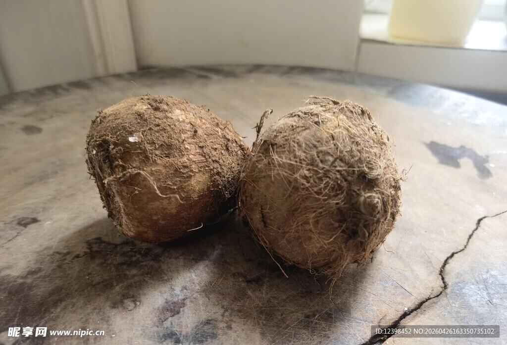 两个带泥的新鲜芋头
