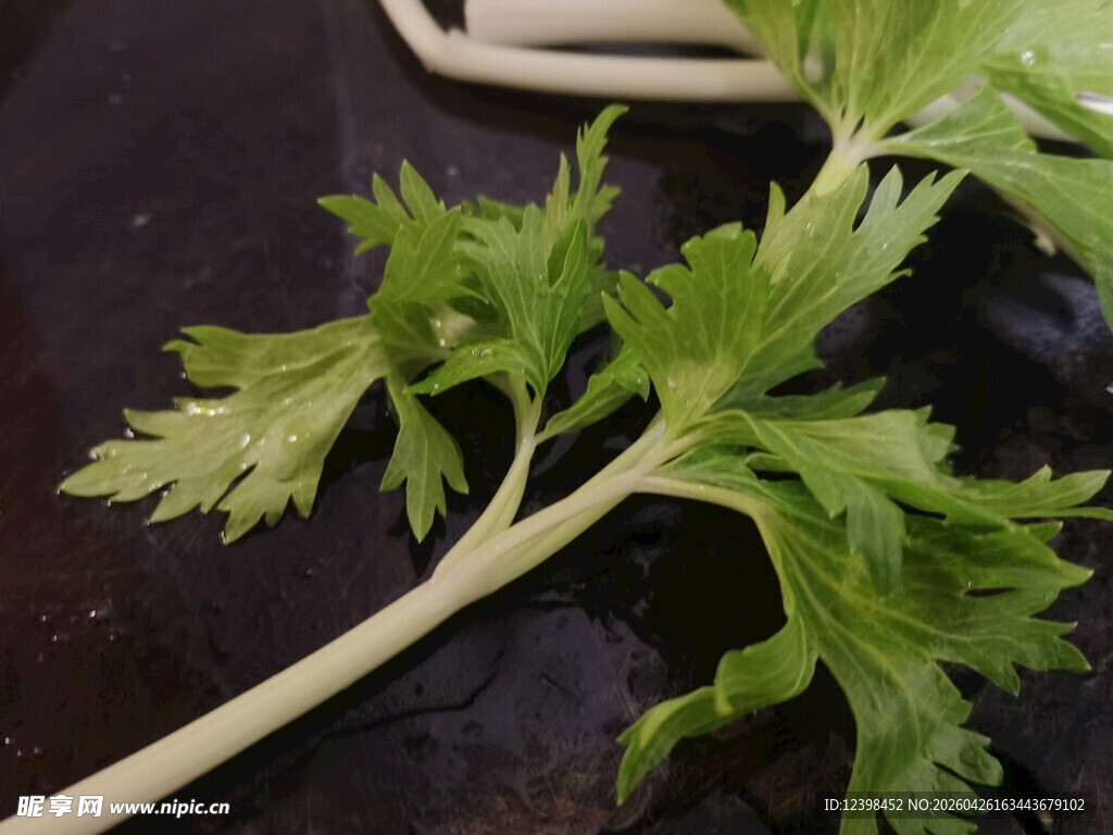 新鲜芹菜