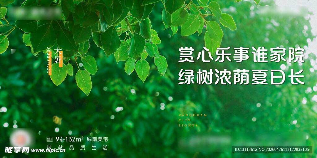 春天  春日 绿叶  森系