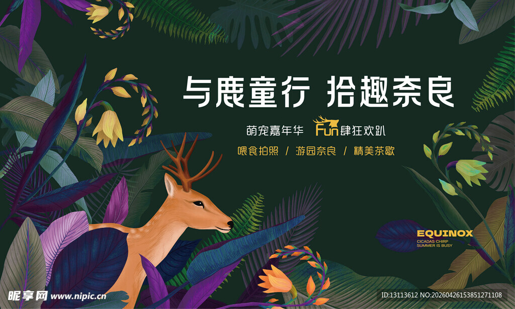 森系  与鹿共赏 森林 