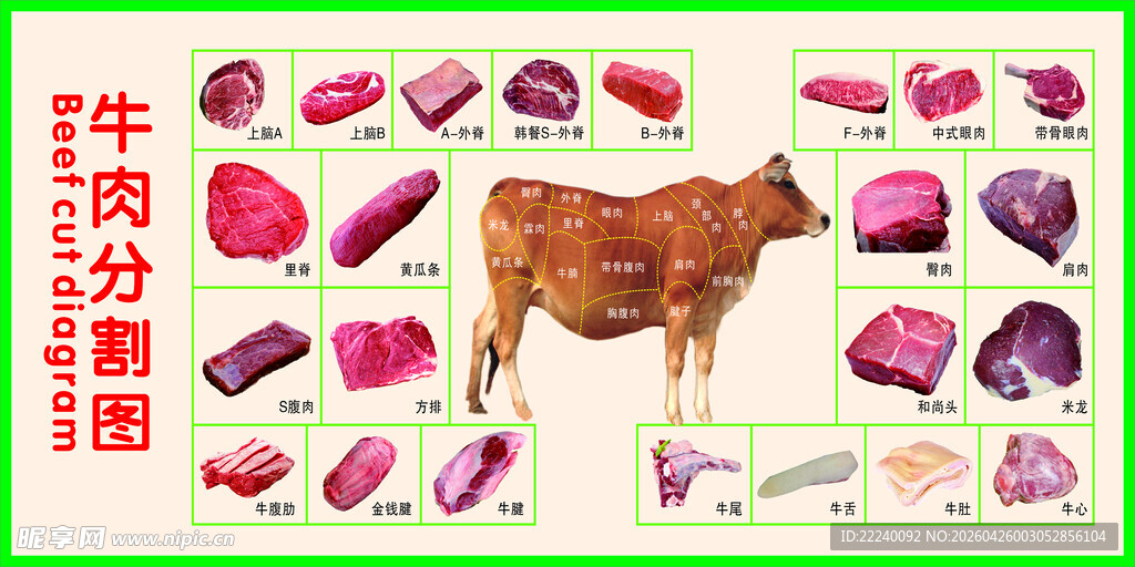 牛肉分割图