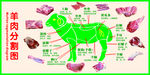 羊肉分解图
