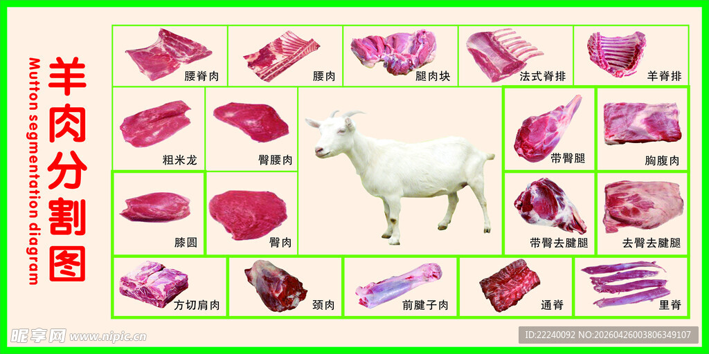 羊肉分割图