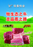 裕泰牧业牧生态牛走品质路