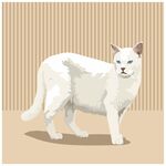 站立的白色猫咪