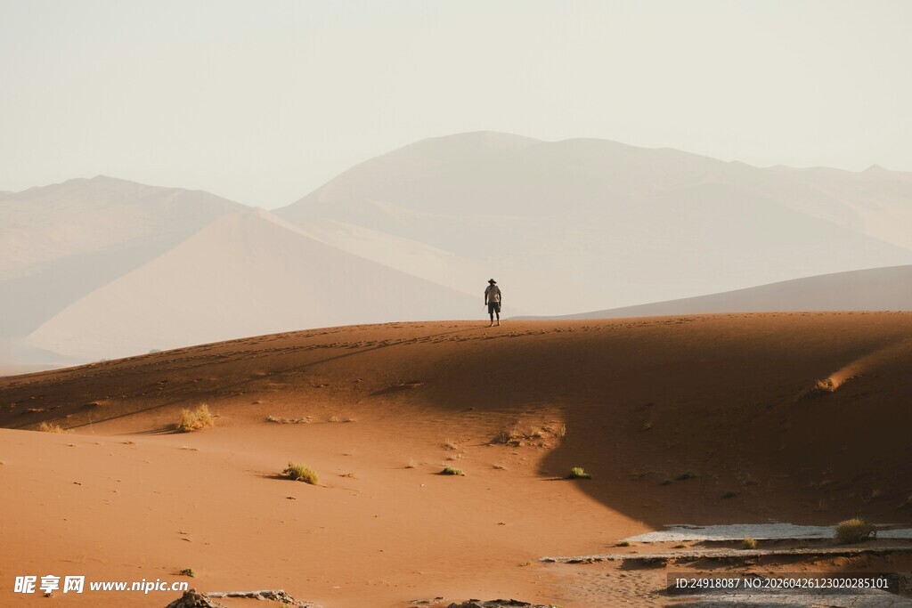沙漠孤影广袤天地间