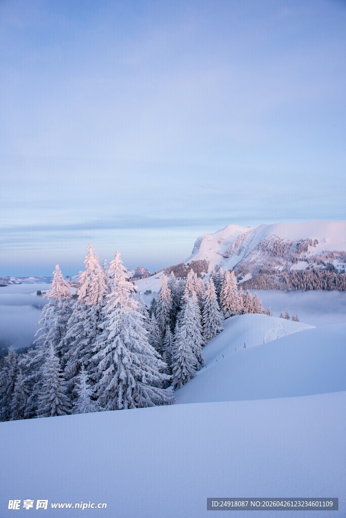 冬日雪覆山林美景