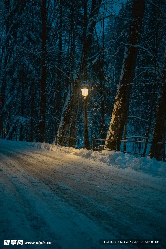 雪夜林间孤灯照亮前路
