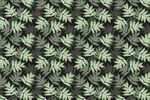 热带植物图案壁纸