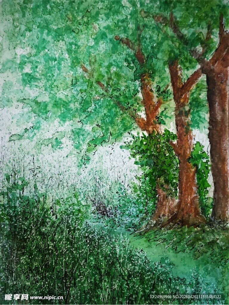 森林绿意盎然的静谧景象