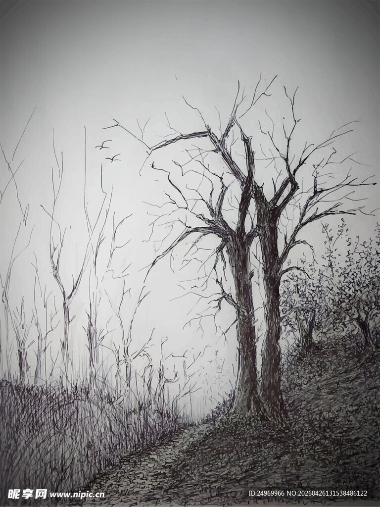 荒野枯树景象