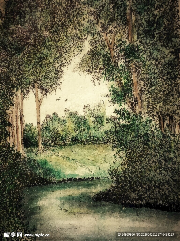 林间溪流