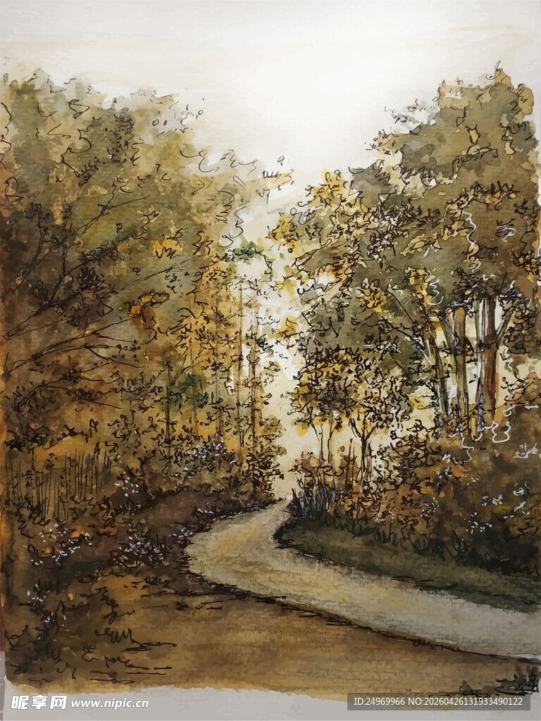 林间小路风景