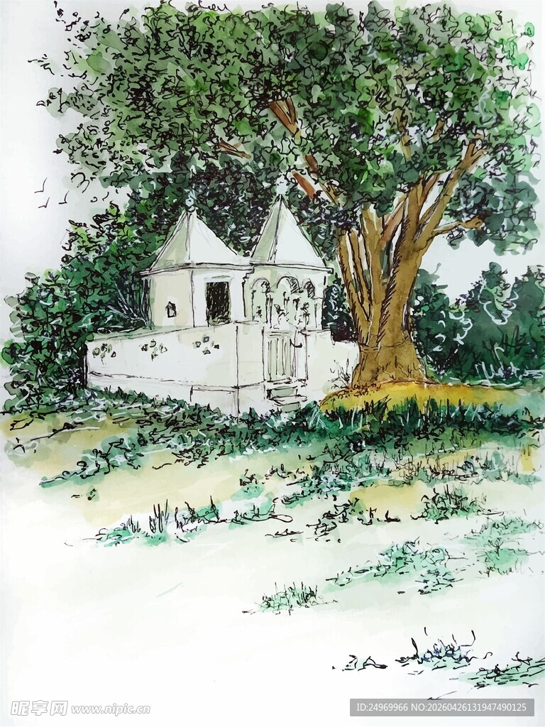 乡村小屋旁的繁茂大树