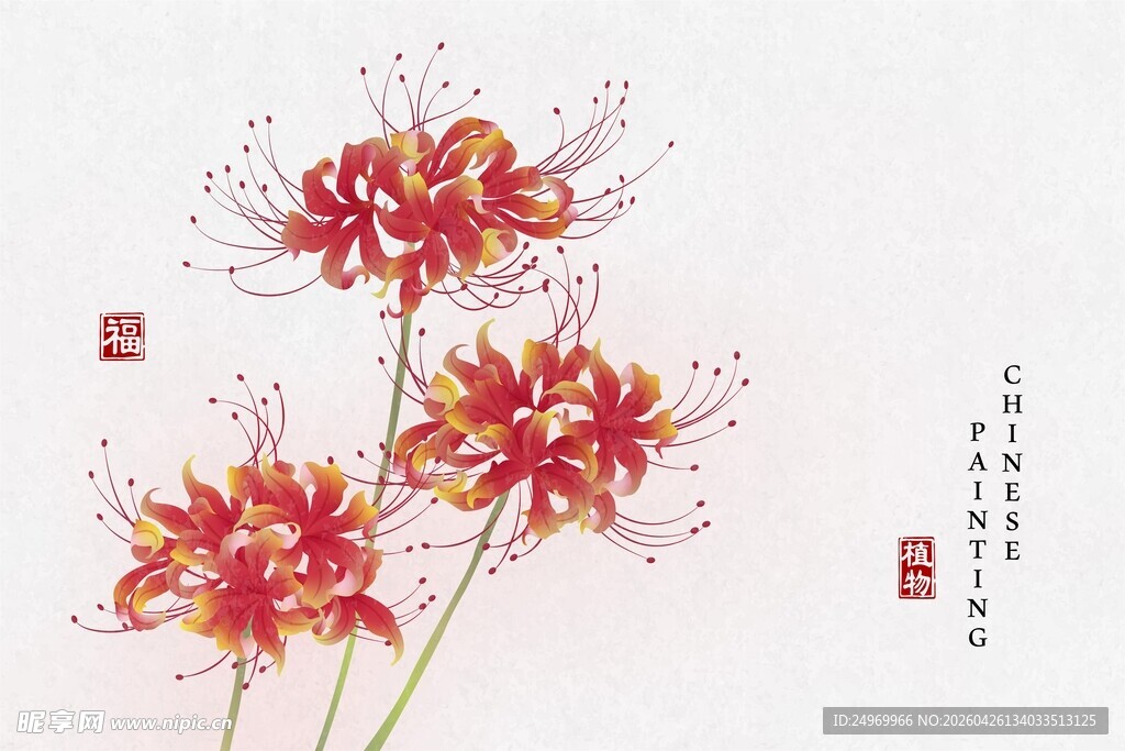 水墨风绽放的彼岸花