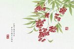 中式风枝头红果绿叶图