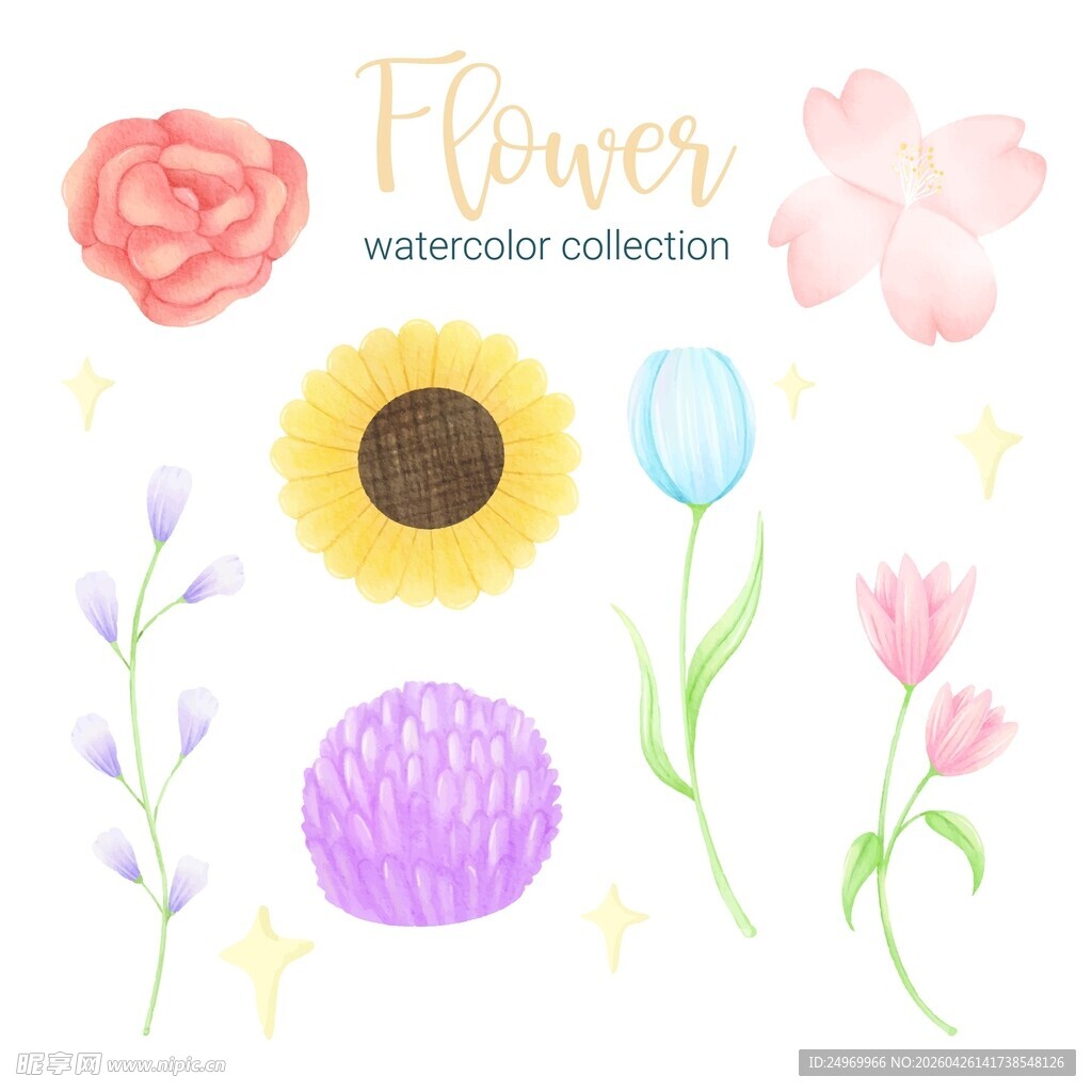 水彩花卉图案集合