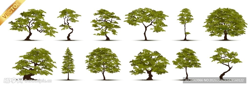 多样树木矢量素材图